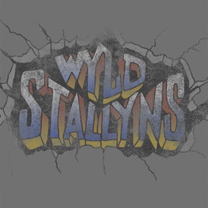 Image of Wyld Stallyns World Tour - PREORDER