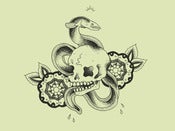 Image of "Eel Skull" Limited Edition Serigraph