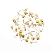 Image of Organic Chamomile