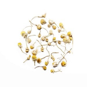 Image of Organic Chamomile