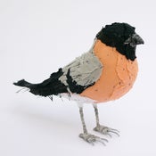 Image of BULLFINCH