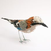 Image of JAY