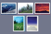 Image of PhotoVerbier 'Classic 5-Pack' SHIPPING INCL. UNTIL MAY 31st