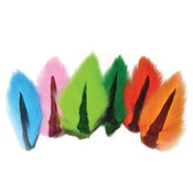 Image of Bucktails
