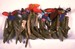 Image of Small Wooden Puppets (sold seperately)