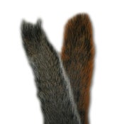 Image of Squirrel Tails