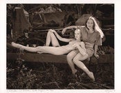 Image of JOCK STURGES: COLLECTOR EDITION C * FIRST PRICE