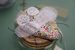 Image of Faustine la mouche/kit bestiole
