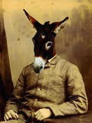 Image of DONKEY PRINT