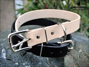 Image of Pet Collar