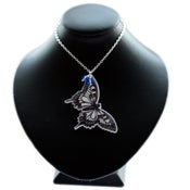 Image of Fly butterfly