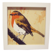 Image of 'Robin' Prints