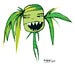 Image of Jungle Girl Collection. JG