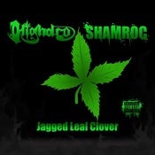 Image of Jagged Leaf Clover (Limited Edition Album Only 300 made)