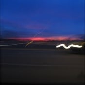 Image of Blackfeet - Choral Reef