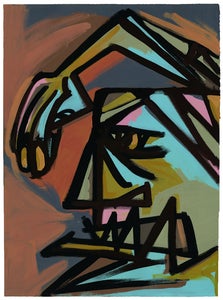 Image of "Arizona Face 1" Harry Diaz