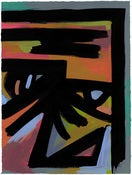 Image of "Arizona Face 5" Harry Diaz