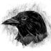 Image of Reconstructed North American Fauna Set