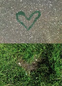 Image of Concrete n Grass Card