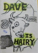 Image of Dave Is Hairy