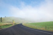 Image of New Zealand Explored