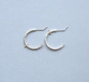 Image of Porous Earrings - Small