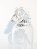 Image of Prosthesis I