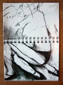 Image of Women by Bill Callahan