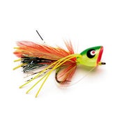 Image of World Record Popper