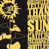 Image of Brighter Yellow Than Morning Sun EP