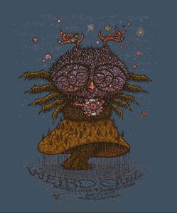 Image of Weird Owl 2009 Tour Poster by Marq Spusta