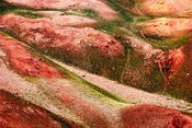 Image of Andes Crossing