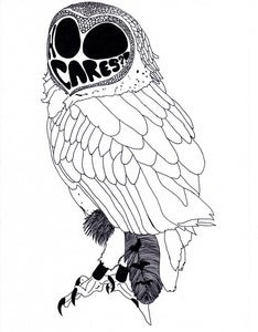 Image of Hoo Cares?! (original)