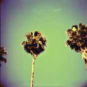 Image of The Florida Series