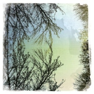 Image of Four Inch Prints (Package of 9) - Your Choice of Photos from Gallery of Over 130+
