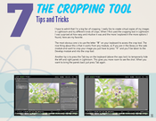 Image of Chapter 7 - Cropping