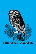 Image of "THE OWL AWAITS" POSTER BY TONY EVJENTH