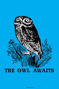 Image of "THE OWL AWAITS" POSTER BY TONY EVJENTH