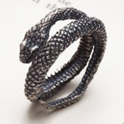 Image of Snake Charmer