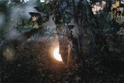 Image of Duskwalks Print