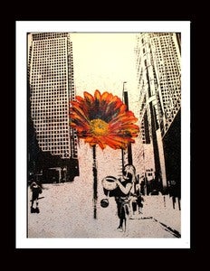 Image of "Daisy stops the Traffic" - Special Edition