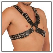 Image of Ultimate Upper Body Harness (JL5516)