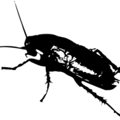 Image of SiLENTPROJECT