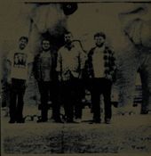 Image of Boyfriends "S/T" 7"