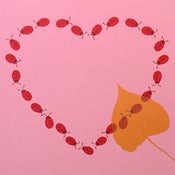Image of Ladies Love Leaves