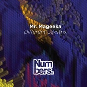 Image of Mr Mageeka – Different Lekstrix