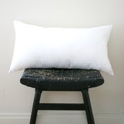 Image of Large Polyester Inserts