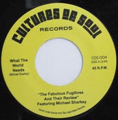 Image of Fabulous Fugitives - What the World Needs