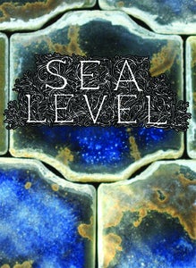 Image of "Sea Level" - DVD