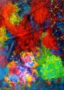 Image of Interconnected